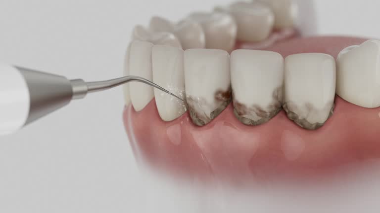 Reliable Dental contractor in Lake Monticello, VA by Dentist Open Now